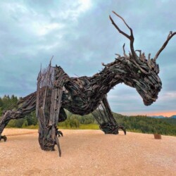 Drago Vaia Lavarone Trentino