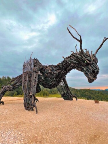 Drago Vaia Lavarone Trentino