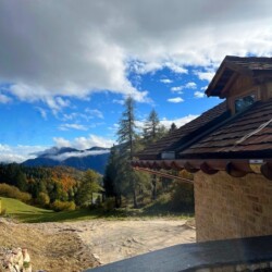 baita Mira affitto boschi Trentino Alpe Cimbra