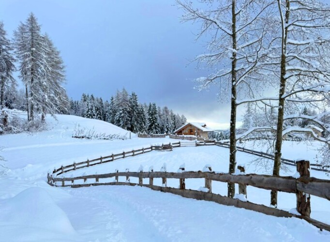 passeggiata bosco baita Mira Lavarone