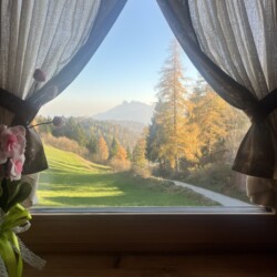 vista finestra bosco baita Mira