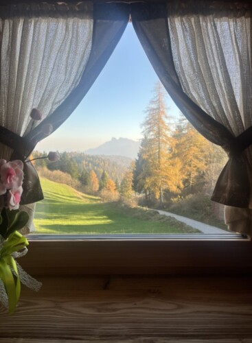 vista finestra bosco baita Mira