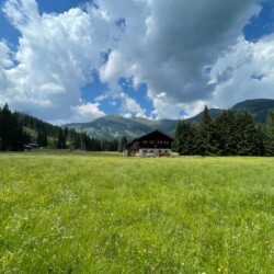 San Pietro di Cadore baita in affitto vacanze con prato